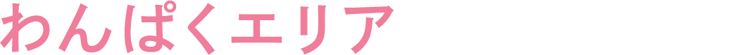 わんぱくエリア